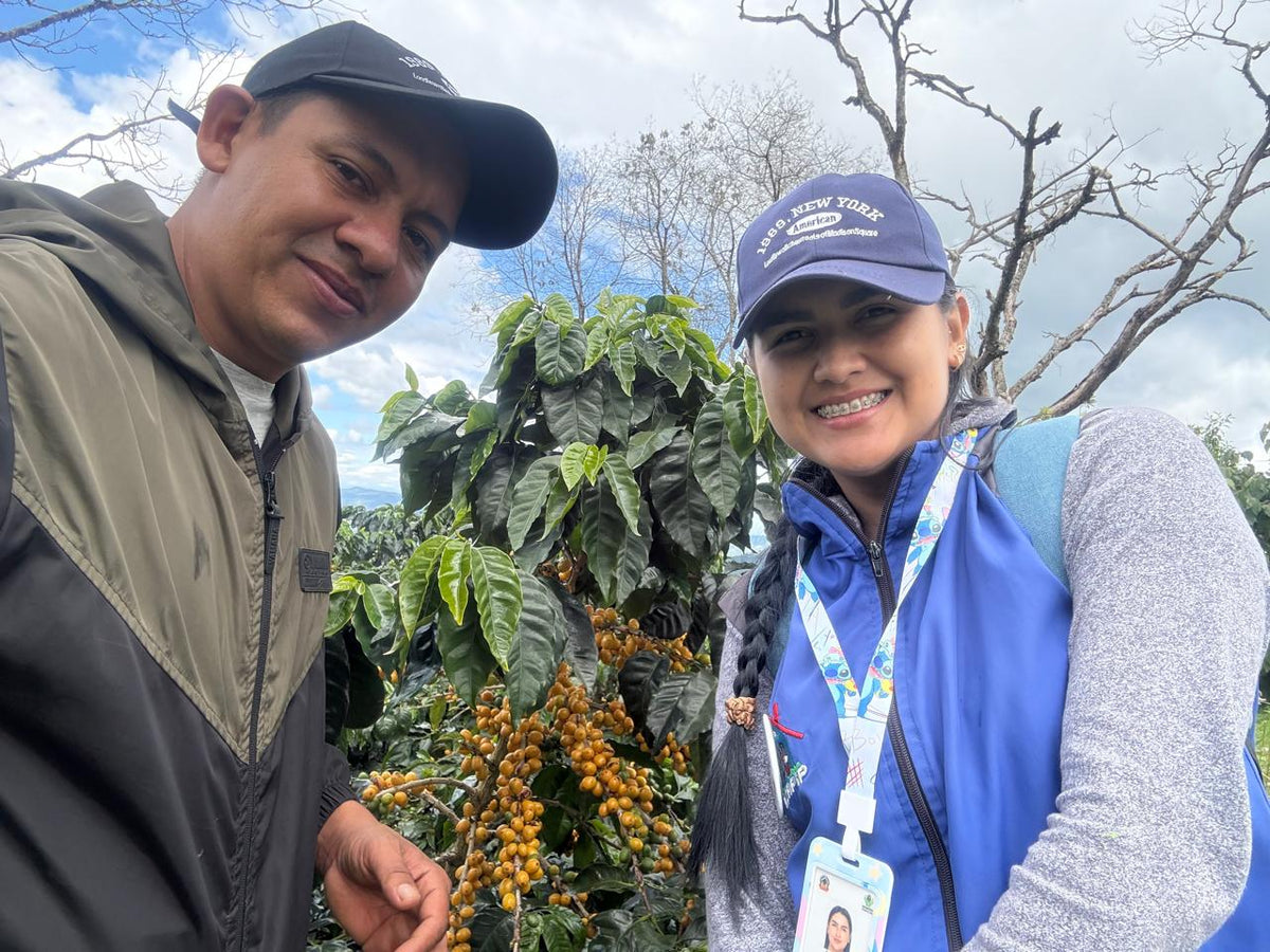 La Experimental Sidra