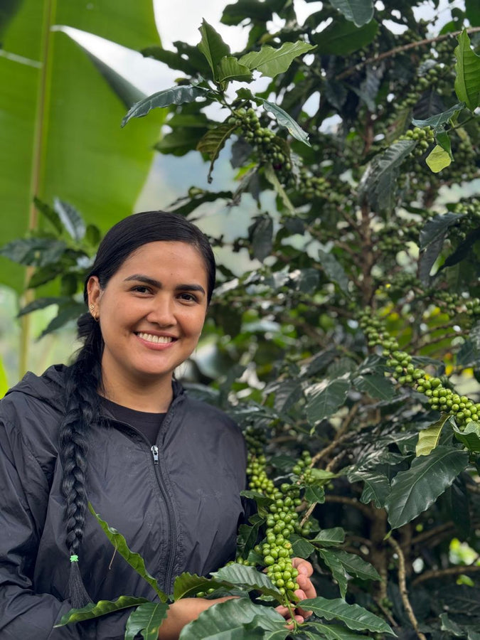 La Experimental Sidra