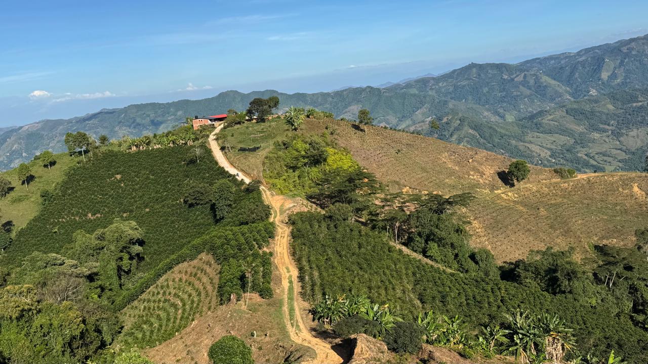 La Experimental Sidra